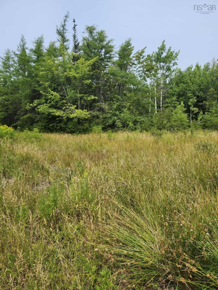Property Photo:  - Alder Road  NS B1M 1B2 