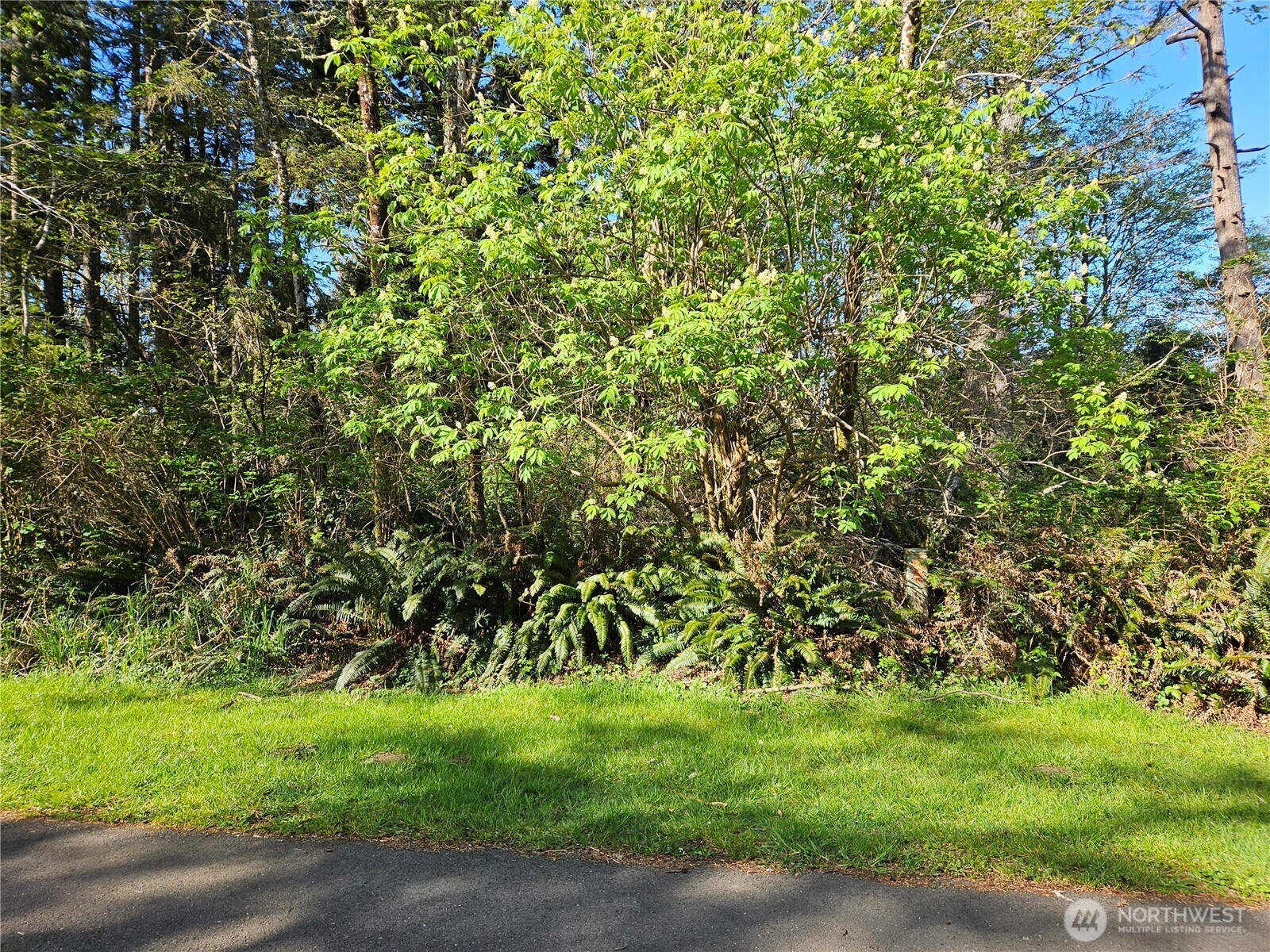 Property Photo: 701 Chenois Avenue NE WA 98569