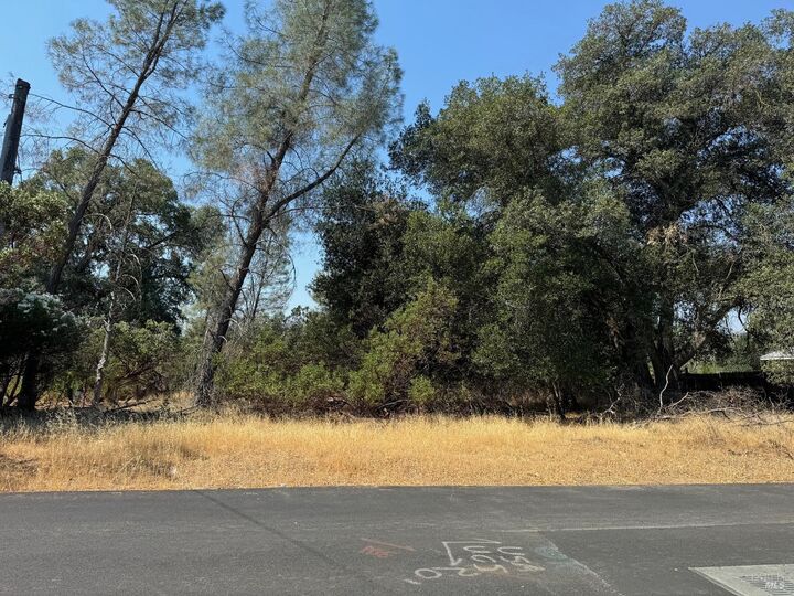 Property Photo:  3049 Wolf Creek Road  CA 95423 