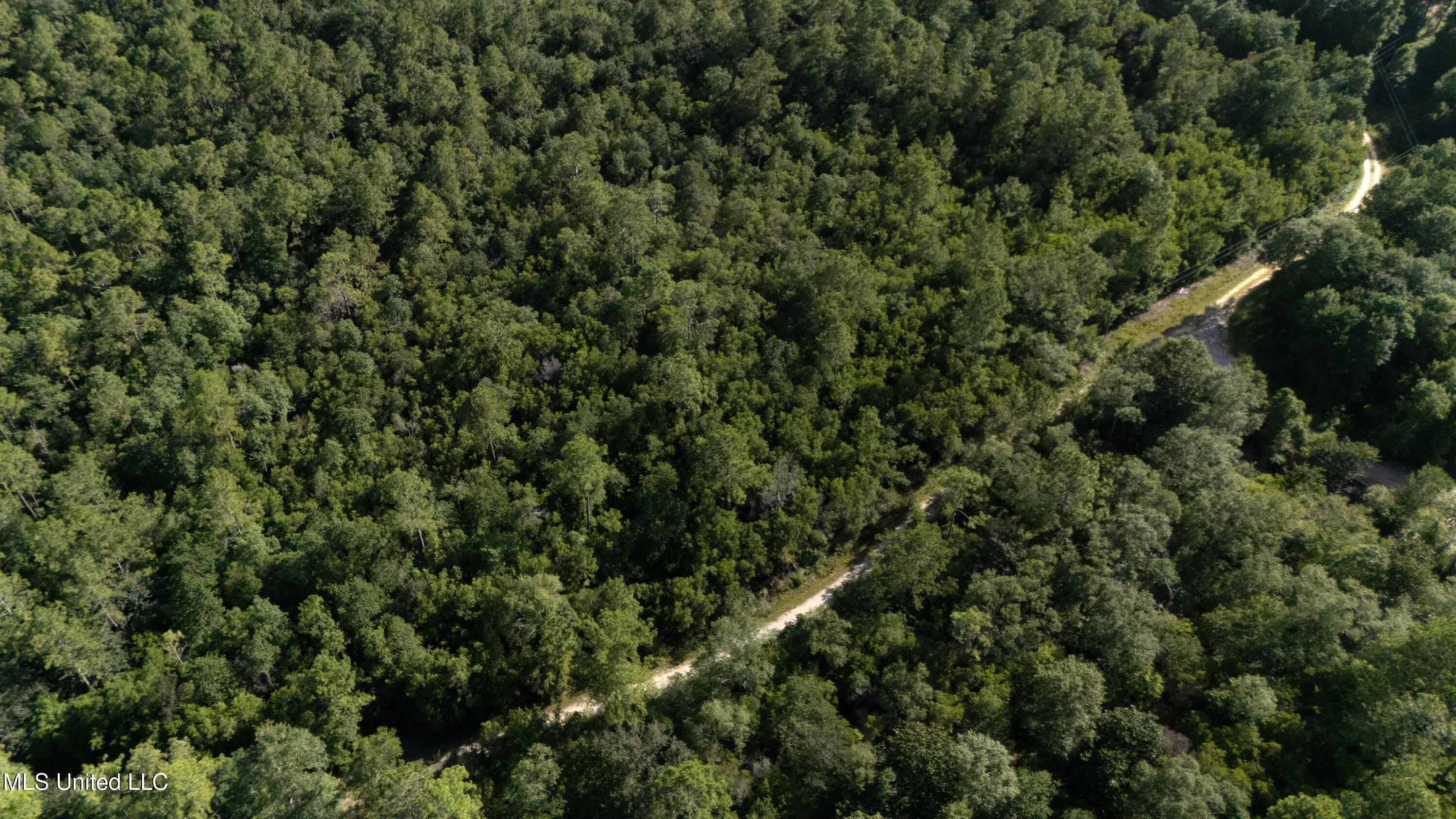 Ashmore Ridge Drive  Vancleave MS 39565 photo