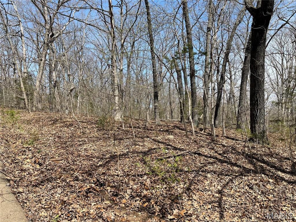 Property Photo:  9352 Pea Ridge Drive  MO 63050 