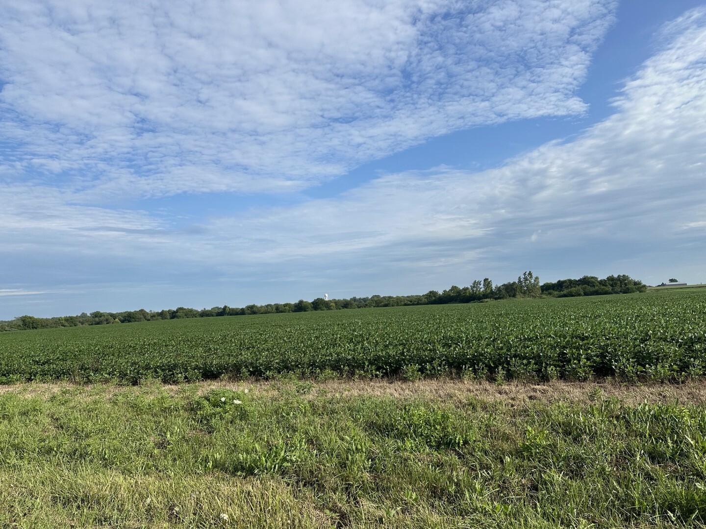 Property Photo: 30 Acres Church And Racine Avenue IL 60401