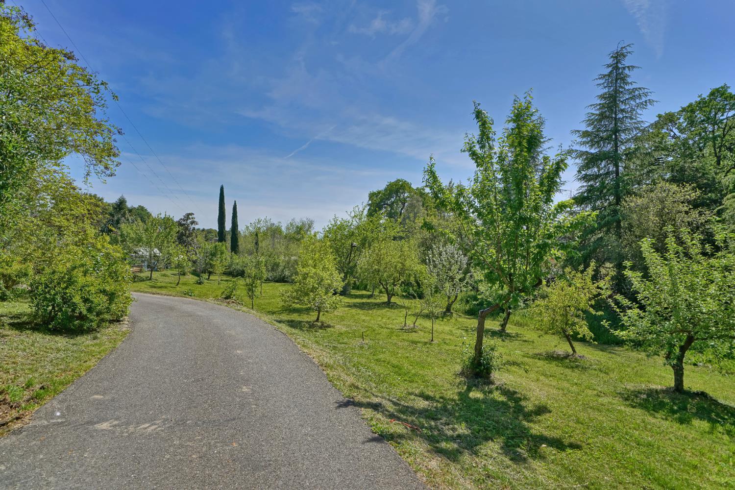 Property Photo:  6556 Gold Hill Road  CA 95667 
