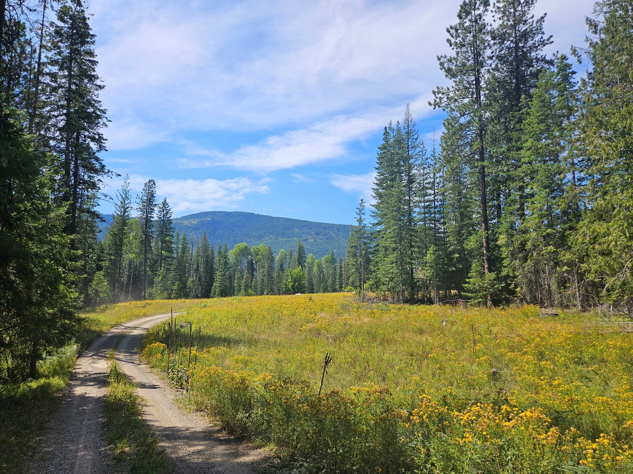 Property Photo: 230 Upper River Road MT 59844