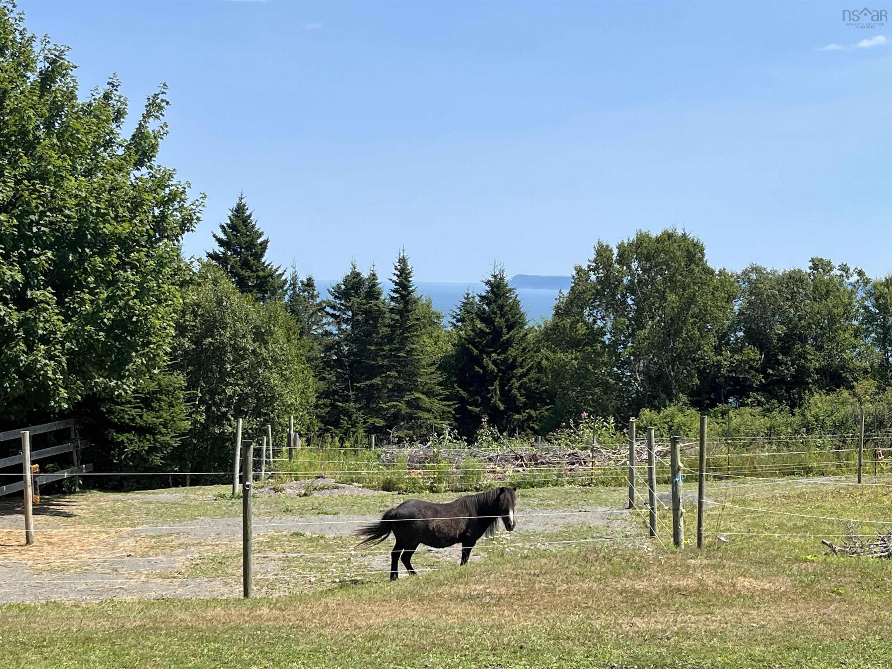 Photo de la propriété: 7787 Highway 209 NS B0M 1S0