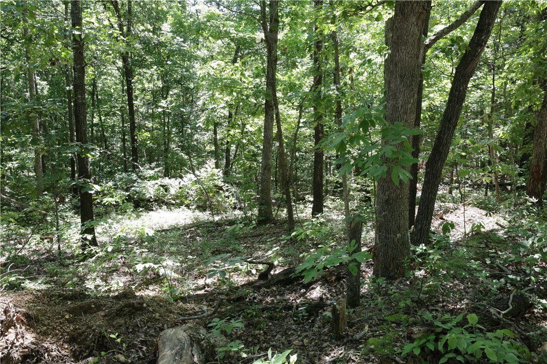Property Photo: Lot 11, Block 2 Kettering Lane AR 72714