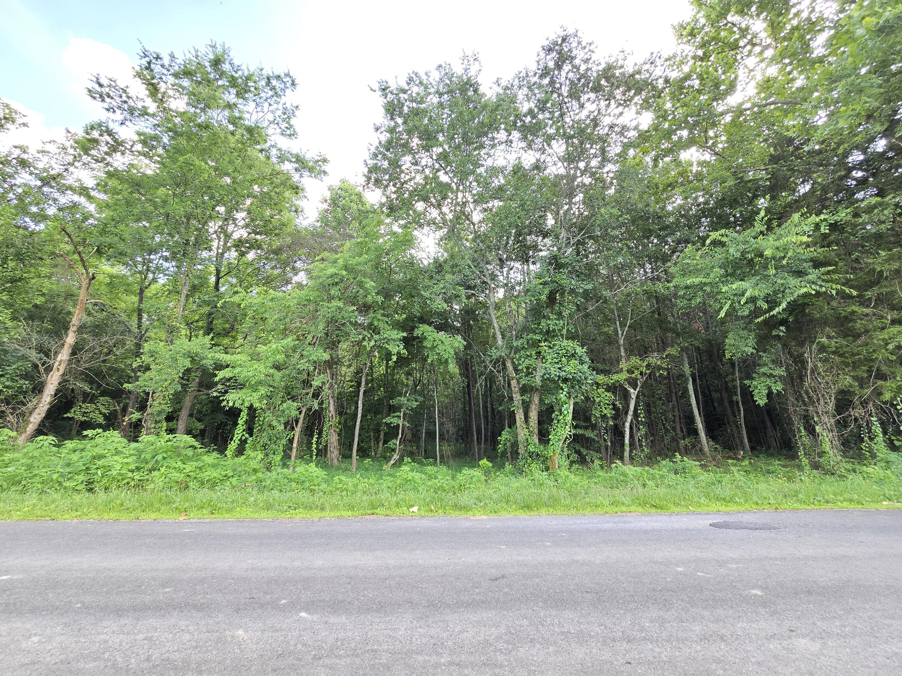 Property Photo:  0 York Road  TN 37361 