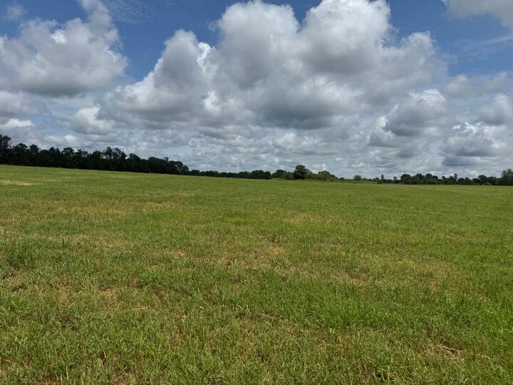 Property Photo:  32673 State Highway 112  MO 65745 