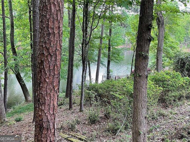 Property Photo: 160 Boxelder Lane GA 30076