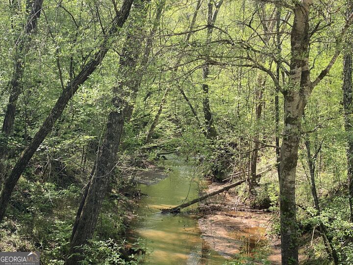 Property Photo:  90 +/- Acres English Road  GA 31029