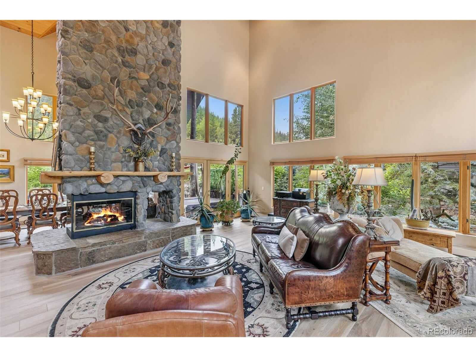 Property Photo:  82 Saw Whiskers Cir  CO 80435 