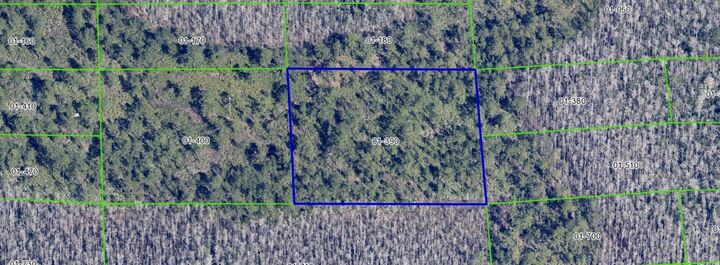 Property Photo: Dill Road FL 32820