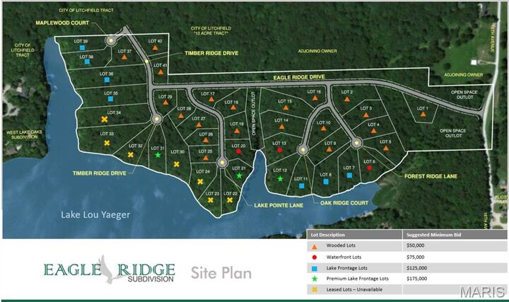 Property Photo:  3 Forest Ridge Lane  IL 62056 