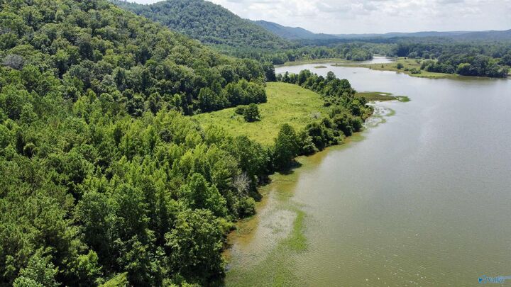 Property Photo:  148 Acres County Road 21  AL 35953 