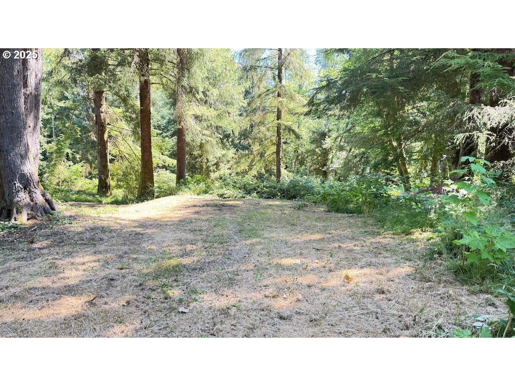 Property Photo: Lot 5 N Doris Ln OR 97368