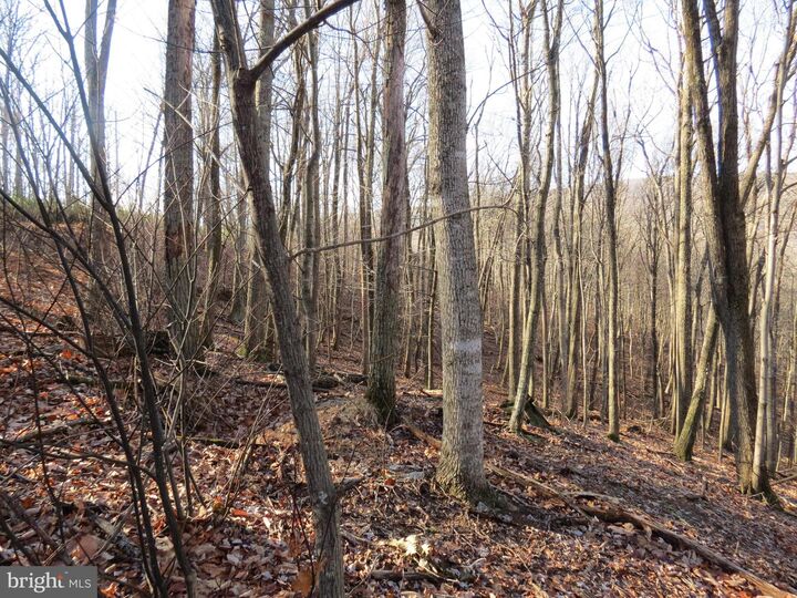 Property Photo:  14A Cedarwood Drive Road  WV 26812 