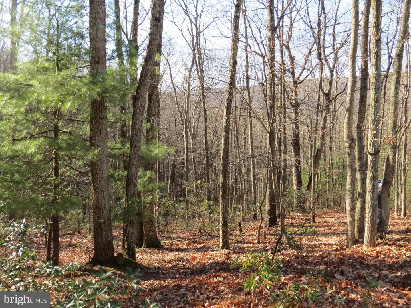 Property Photo: 12 Cedarwood Drive Road WV 26812