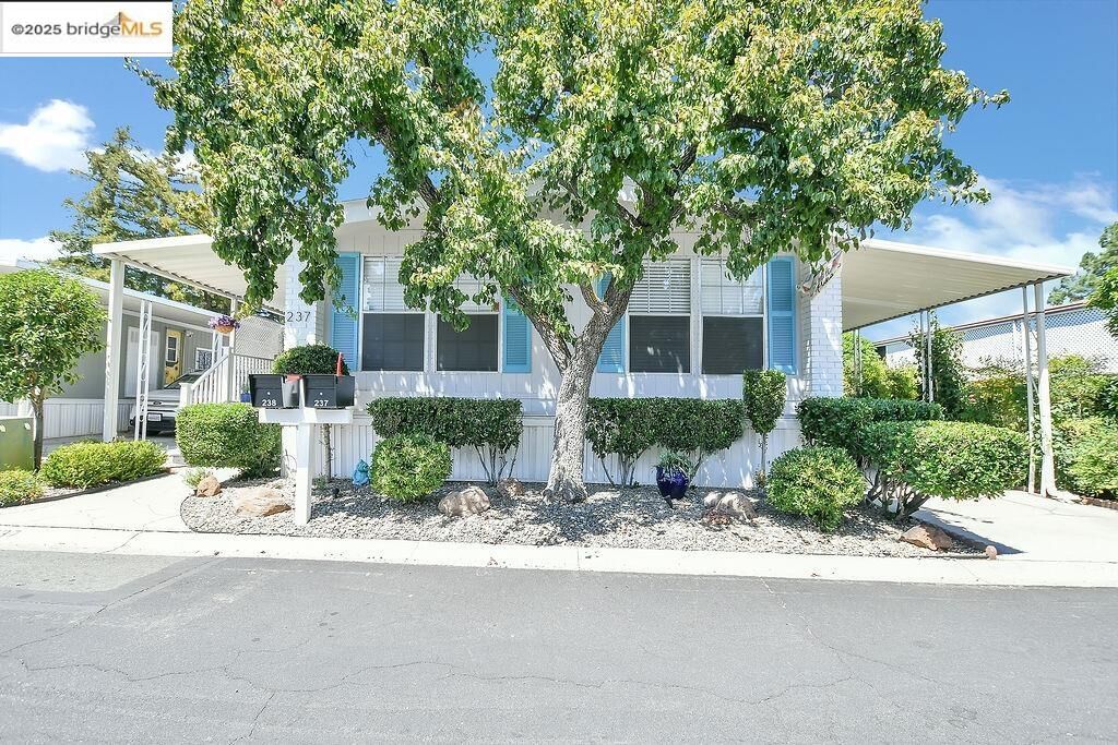 Property Photo:  237 Aloha Way  CA 94565 