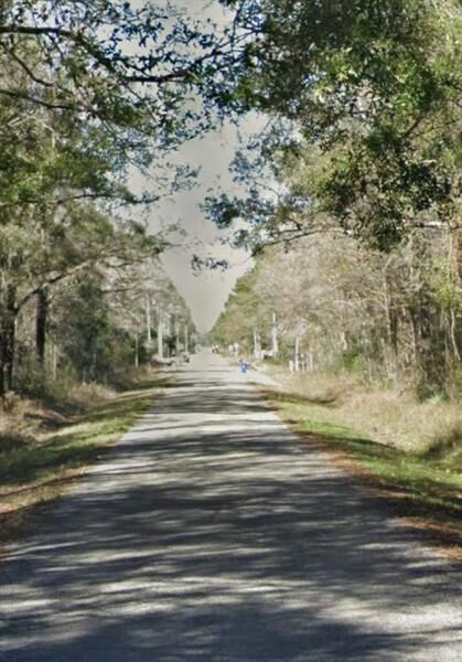 10065 McMahon  Hastings FL 32145 photo