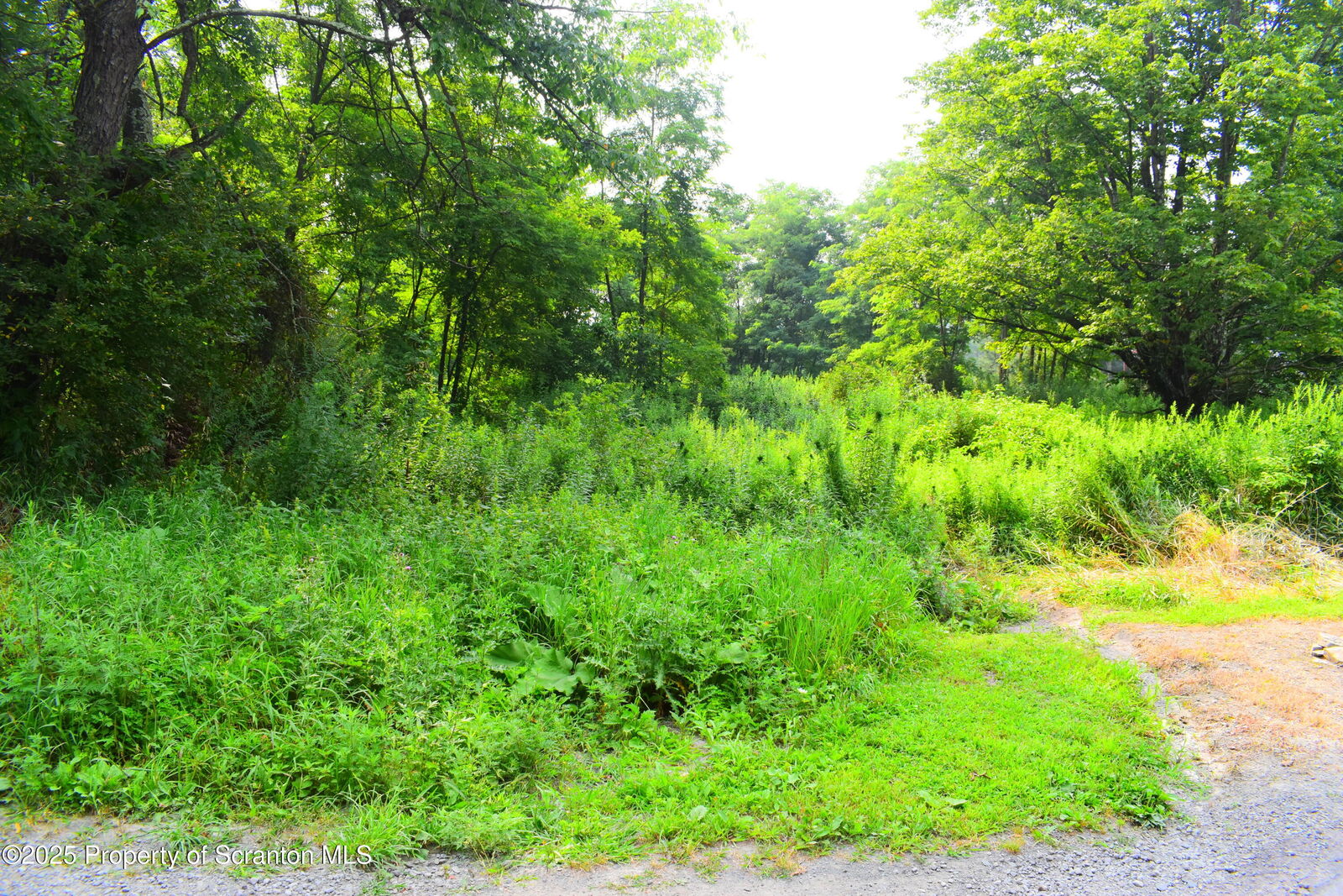 Property Photo:  Mountain View Estates  PA 18801 