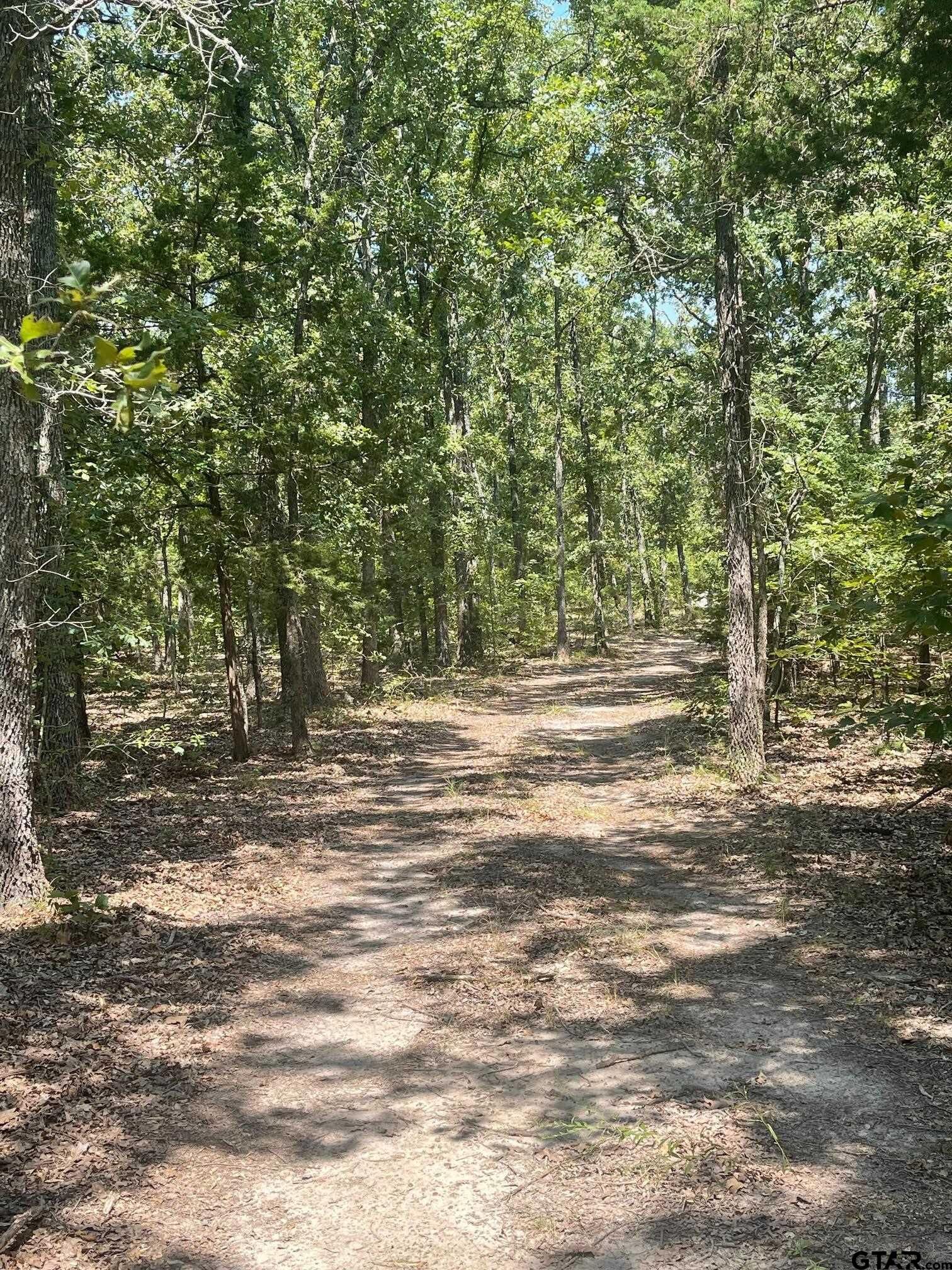 Property Photo:  727 County Road 1676  TX 75410 