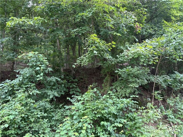 Property Photo:  1037 Maccorkle Avenue  WV 25177 
