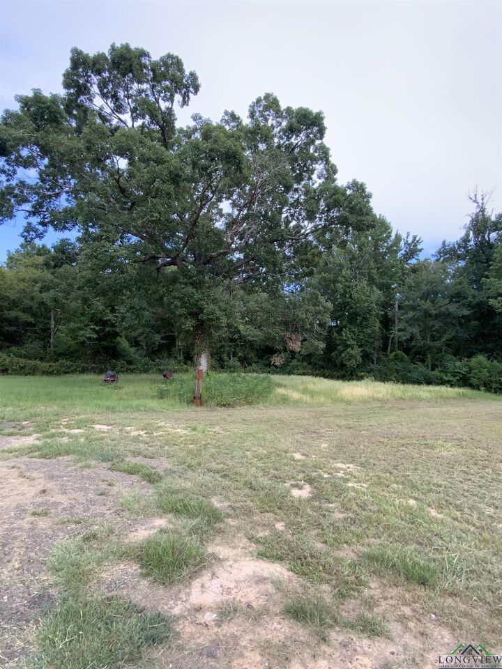 Property Photo:  300 Bud Rd  TX 75662 