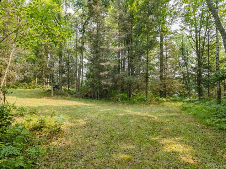 Property Photo:  Lots 45&Amp46 Little Maggie Lane  MI 49920 