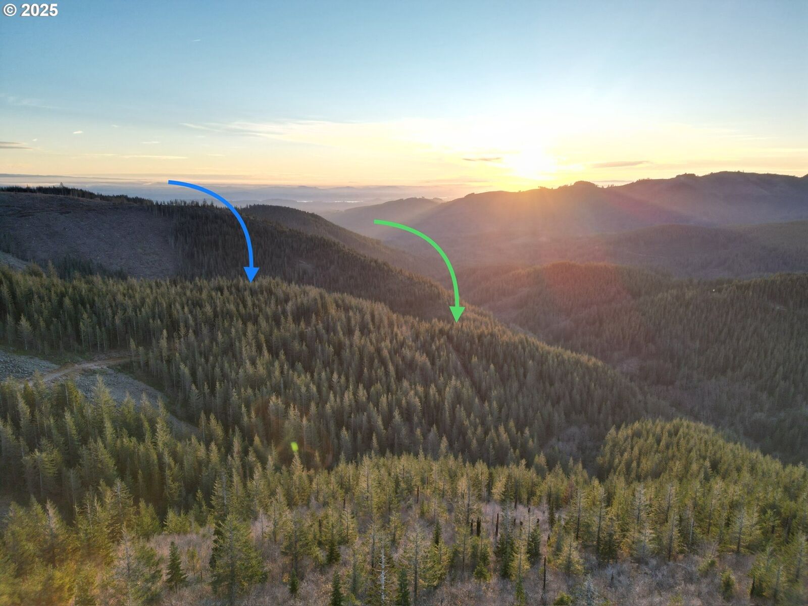 Property Photo:  Skamania Mines Rd  WA 98671 
