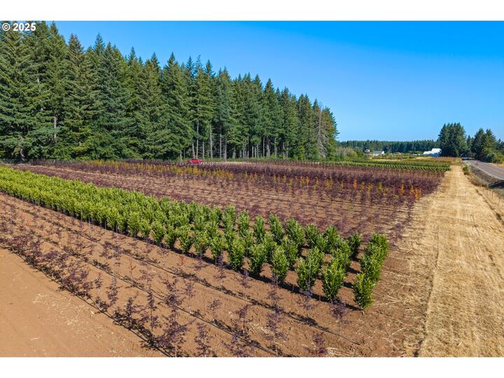 25220 S Springwater Rd  Estacada OR 97023 photo