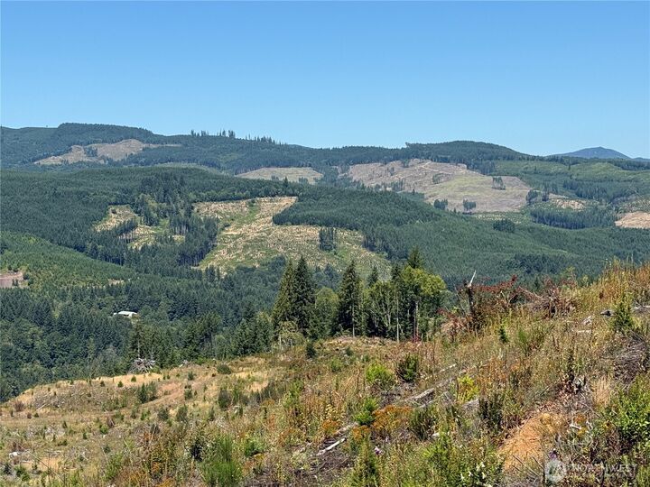 Property Photo:  3725  Little Kalama River Road A  WA 98584 