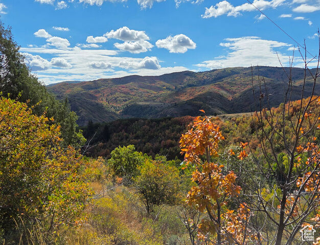 Property Photo:  13184 E Evergreen Park Dr  UT 84317 