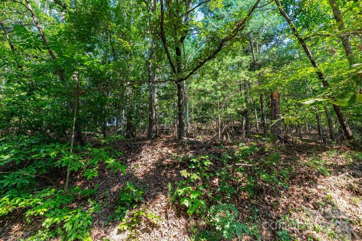 Property Photo: 99999 Flynn Branch Road 1, 2 &Amp 3 NC 28804