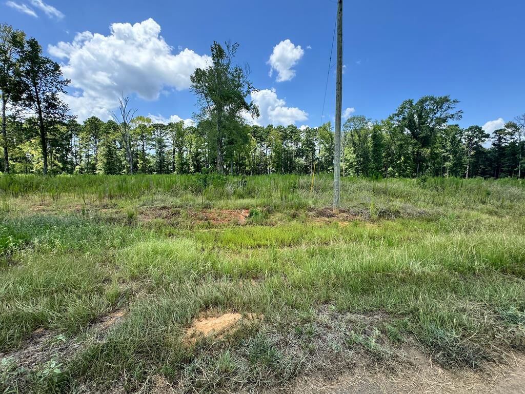 Property Photo:  R28429(Lot14) Private Road 7700  TX 75972 
