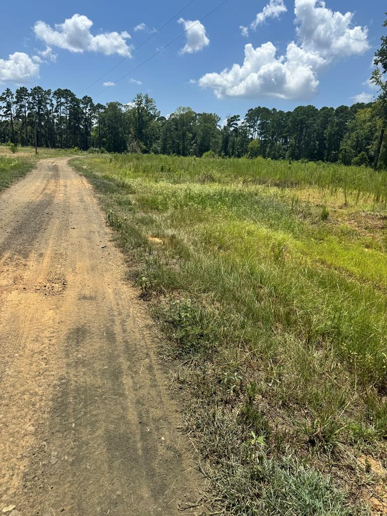 Property Photo:  R28429(Lot10) Private Road 7700  TX 75972 