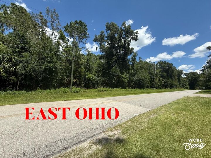 Property Photo:  No Street  FL 32744 