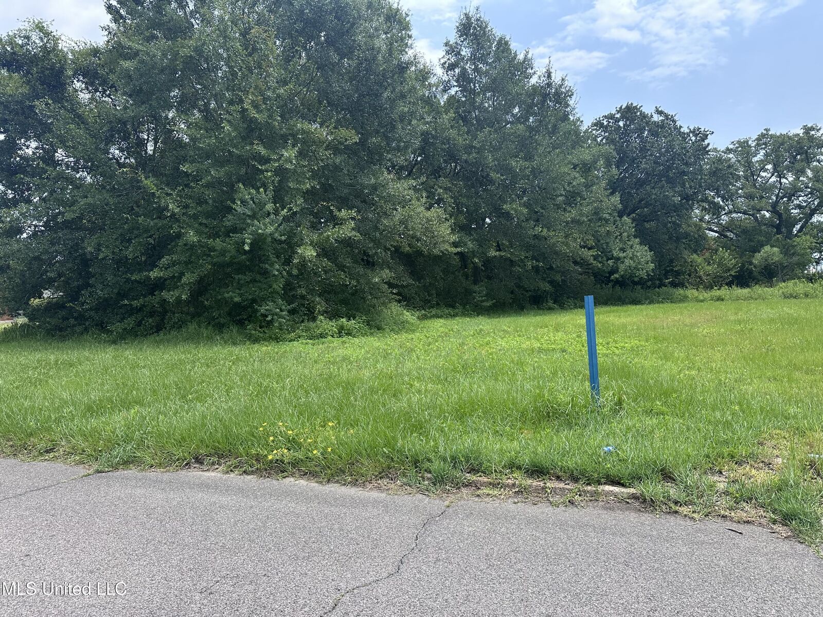 Property Photo:  1310 Cherokee Street  MS 39581 