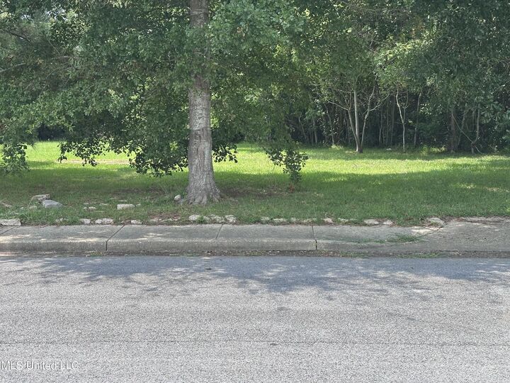 Property Photo:  1907 Resca De La Palma Street  MS 39567 