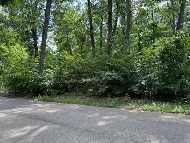 Property Photo: 52300 E Arnold - Land Drive MI 49117