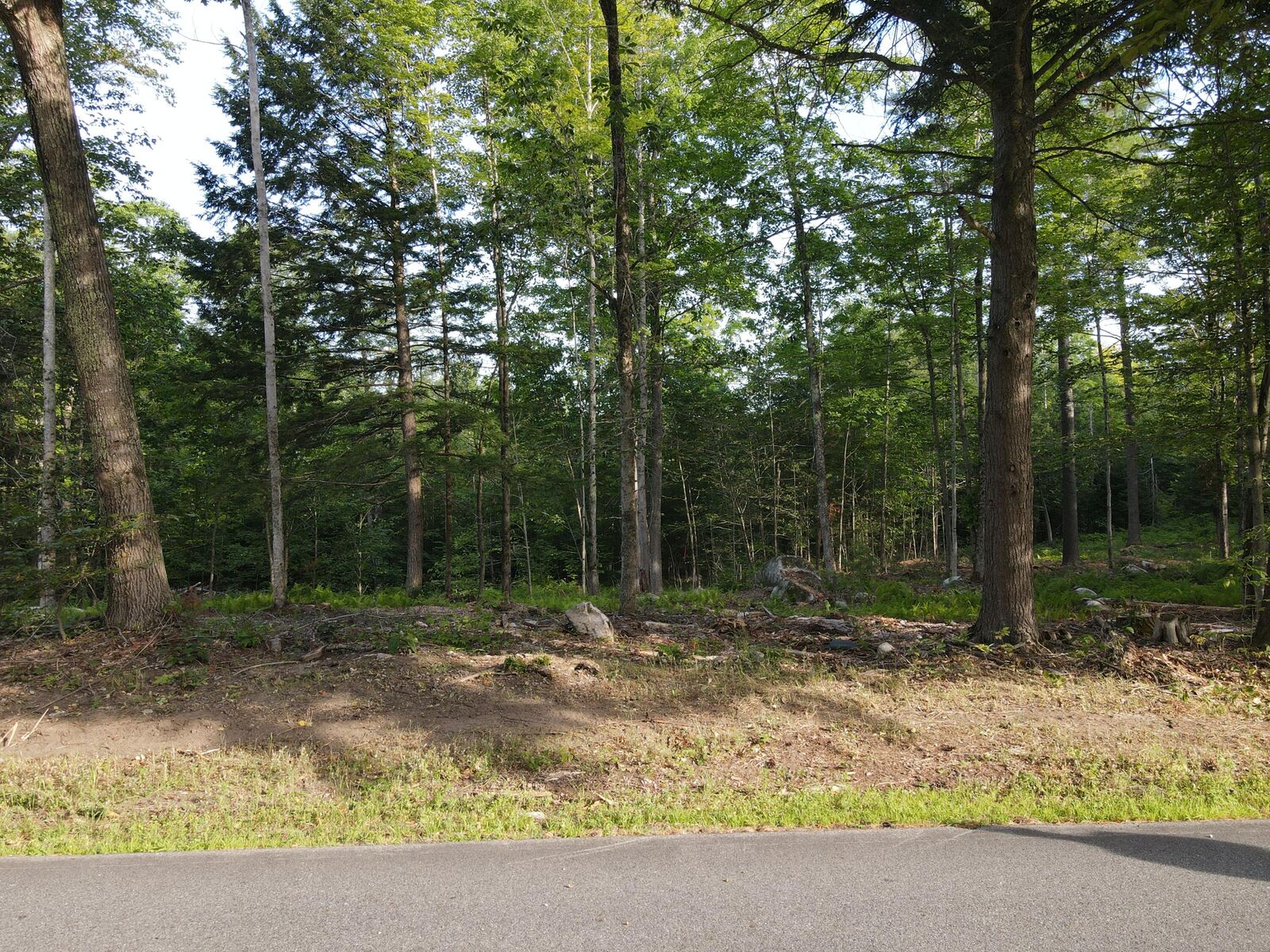 Property Photo: Lot 1 Oak Pond Road ME 04967