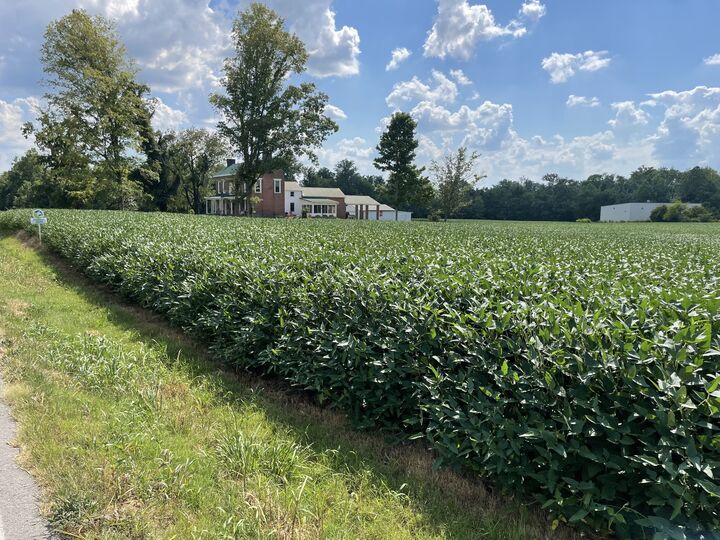 Property Photo: 0 Main St N KY 42220