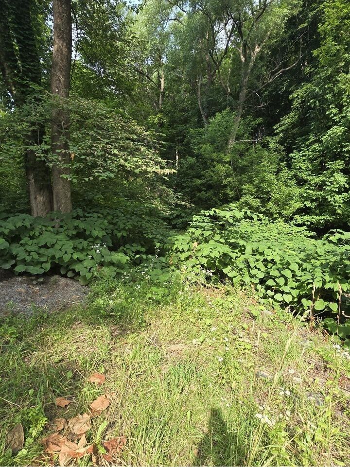 Lot Munroe Avenue  New Glasgow NS B2H 2C8 photo