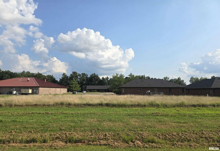 Property Photo:  000 Airway Drive  IL 62959 