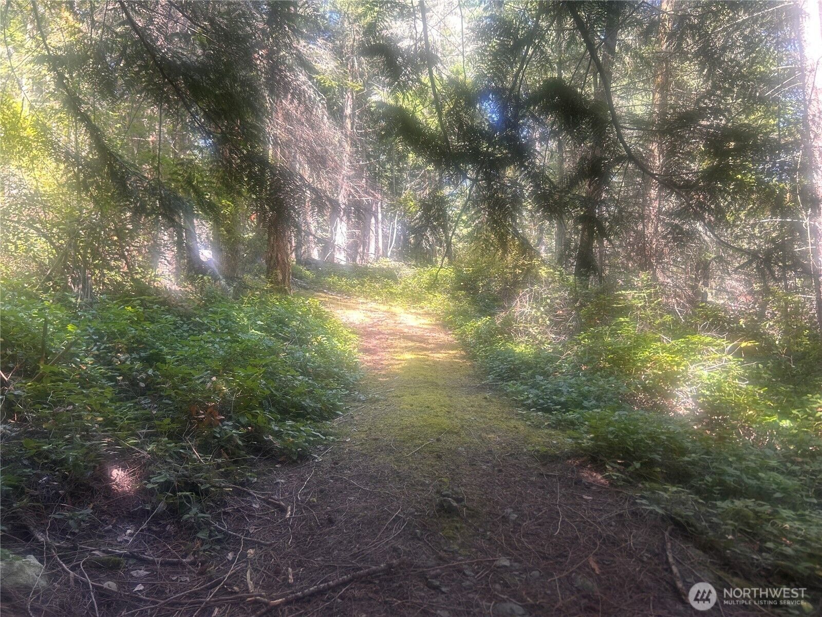 Property Photo: 0 Xx Rocky Road WA 98243