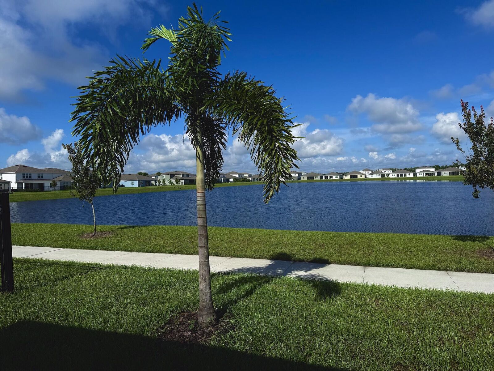 Property Photo:  1616 Groveline Road  FL 34771 