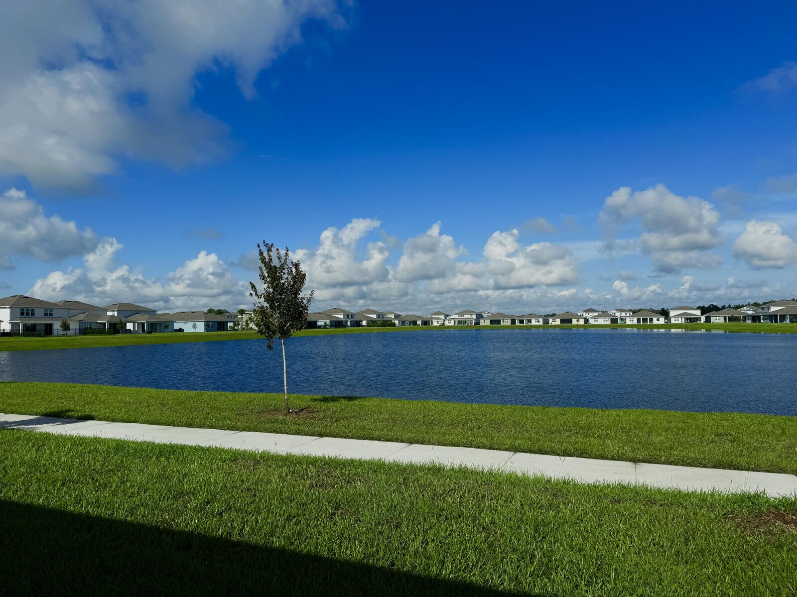Property Photo:  1616 Groveline Road  FL 34771 