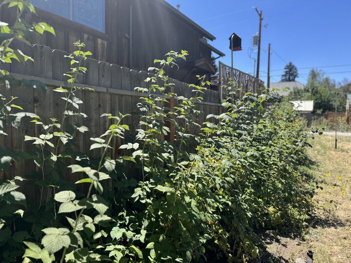 Property Photo: 209 N 3rd Ave ID 83333