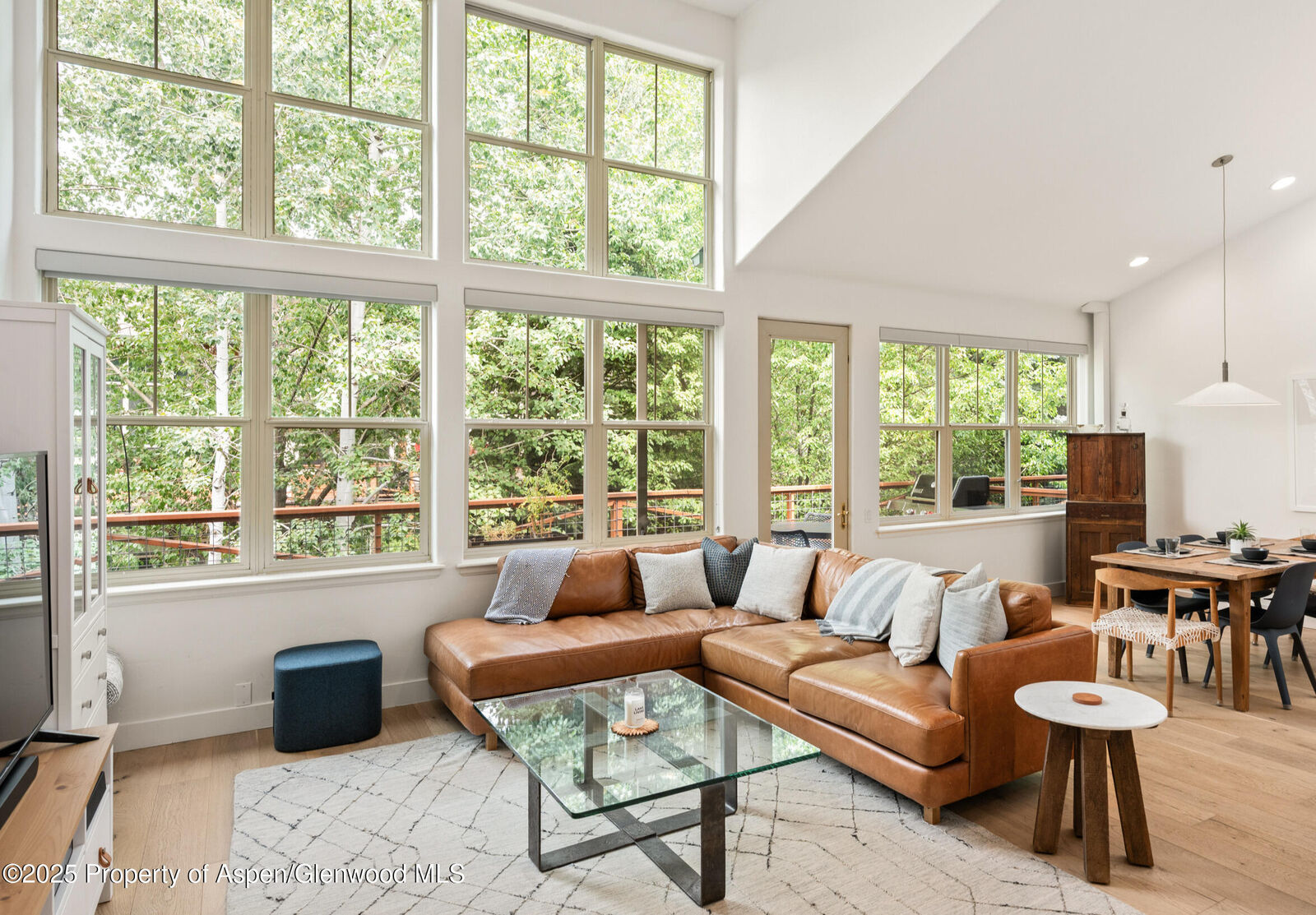 Property Photo:  545 Evans Court  CO 81621 