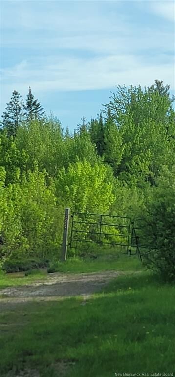 Property Photo: Lot Bryson Road NB E3B 8E4
