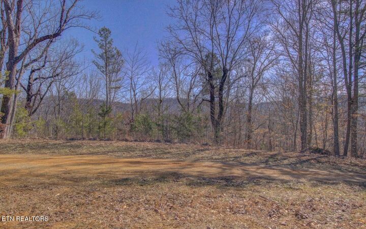 Property Photo:  4575 Crooked Creek Way Lot 3  TN 37803 